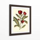Jennas Flores Iv - Sellier | Cuadro decorativo de Canvas Lab