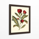 Jennas Flores Iv - Sellier | Cuadro decorativo de Canvas Lab