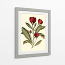 Jennas Flores Iv - Sellier | Cuadro decorativo de Canvas Lab
