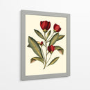 Jennas Flores Iv - Sellier | Cuadro decorativo de Canvas Lab