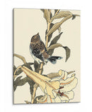 Pájaro Oriental En La Rama Ii - Vision Studio | Cuadro decorativo de Canvas Lab