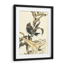 Pájaro Oriental En La Rama Ii - Vision Studio | Cuadro decorativo de Canvas Lab