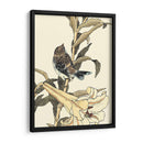 Pájaro Oriental En La Rama Ii - Vision Studio | Cuadro decorativo de Canvas Lab
