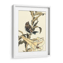 Pájaro Oriental En La Rama Ii - Vision Studio | Cuadro decorativo de Canvas Lab