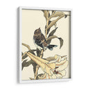 Pájaro Oriental En La Rama Ii - Vision Studio | Cuadro decorativo de Canvas Lab