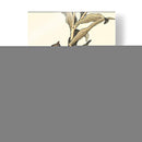 Pájaro Oriental En La Rama Ii - Vision Studio | Cuadro decorativo de Canvas Lab