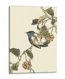 Pájaro Oriental En La Rama Iii - Vision Studio | Cuadro decorativo de Canvas Lab
