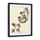 Pájaro Oriental En La Rama Iii - Vision Studio | Cuadro decorativo de Canvas Lab