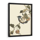 Pájaro Oriental En La Rama Iii - Vision Studio | Cuadro decorativo de Canvas Lab