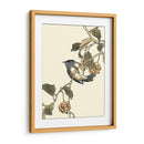 Pájaro Oriental En La Rama Iii - Vision Studio | Cuadro decorativo de Canvas Lab