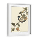 Pájaro Oriental En La Rama Iii - Vision Studio | Cuadro decorativo de Canvas Lab