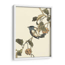Pájaro Oriental En La Rama Iii - Vision Studio | Cuadro decorativo de Canvas Lab