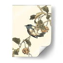 Pájaro Oriental En La Rama Iii - Vision Studio | Cuadro decorativo de Canvas Lab