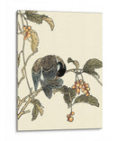 Pájaro Oriental En La Rama Iv - Vision Studio | Cuadro decorativo de Canvas Lab