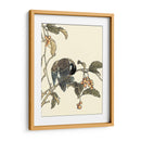 Pájaro Oriental En La Rama Iv - Vision Studio | Cuadro decorativo de Canvas Lab