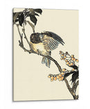 Pájaro Oriental En La Rama V - Vision Studio | Cuadro decorativo de Canvas Lab