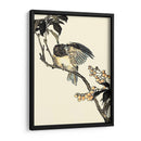 Pájaro Oriental En La Rama V - Vision Studio | Cuadro decorativo de Canvas Lab