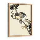 Pájaro Oriental En La Rama V - Vision Studio | Cuadro decorativo de Canvas Lab