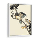 Pájaro Oriental En La Rama V - Vision Studio | Cuadro decorativo de Canvas Lab