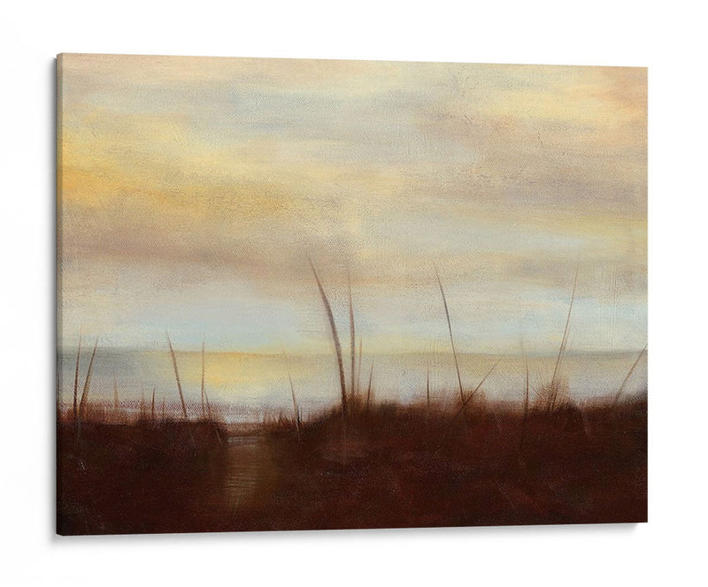 Sunrise Stroll Iv - Jennifer Goldberger | Cuadro decorativo de Canvas Lab