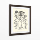 Besler Blanco Y Negro Peony Ii - Basilius Besler | Cuadro decorativo de Canvas Lab