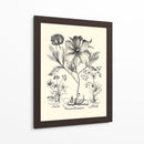 Besler Blanco Y Negro Peony Ii - Basilius Besler | Cuadro decorativo de Canvas Lab