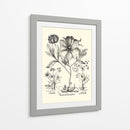 Besler Blanco Y Negro Peony Ii - Basilius Besler | Cuadro decorativo de Canvas Lab