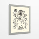 Besler Blanco Y Negro Peony Ii - Basilius Besler | Cuadro decorativo de Canvas Lab