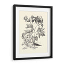 Besler Blanco Y Negro Peony Iii - Basilius Besler | Cuadro decorativo de Canvas Lab