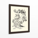 Besler Blanco Y Negro Peony Iii - Basilius Besler | Cuadro decorativo de Canvas Lab