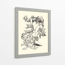 Besler Blanco Y Negro Peony Iii - Basilius Besler | Cuadro decorativo de Canvas Lab