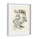 Besler Blanco Y Negro Peony Iii - Basilius Besler | Cuadro decorativo de Canvas Lab