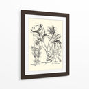 Besler Blanco Y Negro Peony Iv - Basilius Besler | Cuadro decorativo de Canvas Lab