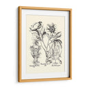 Besler Blanco Y Negro Peony Iv - Basilius Besler | Cuadro decorativo de Canvas Lab