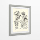 Besler Blanco Y Negro Peony Iv - Basilius Besler | Cuadro decorativo de Canvas Lab