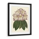 Floraciones Pastel I | Cuadro decorativo de Canvas Lab