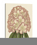 Floraciones Pastel Ii | Cuadro decorativo de Canvas Lab