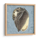 Conchas Lavadas Con Piedras Ii - Vision Studio | Cuadro decorativo de Canvas Lab