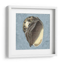 Conchas Lavadas Con Piedras Ii - Vision Studio | Cuadro decorativo de Canvas Lab