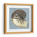 Conchas Lavadas Con Piedras Iii - Vision Studio | Cuadro decorativo de Canvas Lab