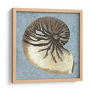 Conchas Lavadas Con Piedras Iii - Vision Studio | Cuadro decorativo de Canvas Lab