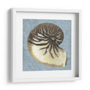Conchas Lavadas Con Piedras Iii - Vision Studio | Cuadro decorativo de Canvas Lab