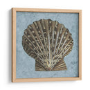 Conchas Lavadas De Piedra Iv - Vision Studio | Cuadro decorativo de Canvas Lab