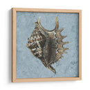 Conchas Lavadas Con Piedra V - Vision Studio | Cuadro decorativo de Canvas Lab