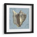 Conchas Lavadas Con Piedra Vi - Vision Studio | Cuadro decorativo de Canvas Lab