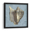 Conchas Lavadas Con Piedra Vi - Vision Studio | Cuadro decorativo de Canvas Lab