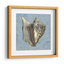 Conchas Lavadas Con Piedra Vi - Vision Studio | Cuadro decorativo de Canvas Lab