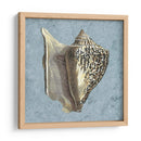 Conchas Lavadas Con Piedra Vi - Vision Studio | Cuadro decorativo de Canvas Lab