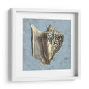 Conchas Lavadas Con Piedra Vi - Vision Studio | Cuadro decorativo de Canvas Lab