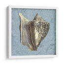 Conchas Lavadas Con Piedra Vi - Vision Studio | Cuadro decorativo de Canvas Lab